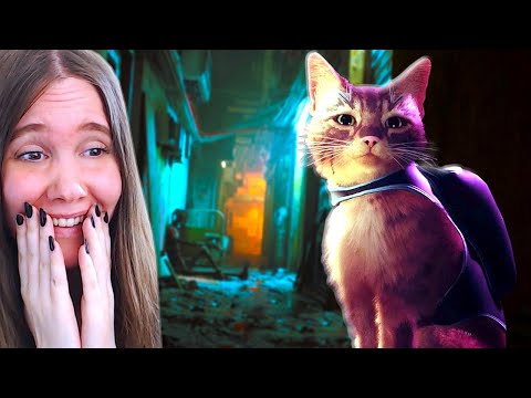 Tää On Varmaan MAAILMAN SÖPÖIN PELI (Stray)