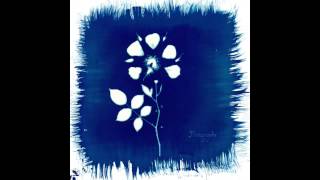 Painted Zeros - Pretty Rig (Official Audio)