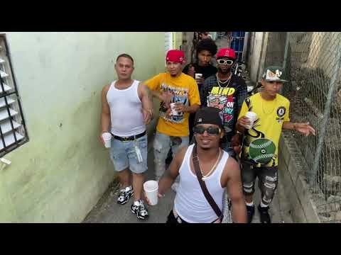 PERICO 🦜 BREILY ONE - PN - PROD