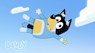 Χριστουγεννιάτικο Κολύμπι 🎄 | Πλήρες επεισόδιο |  Μπλούι – επίσημο κανάλι - Bluey