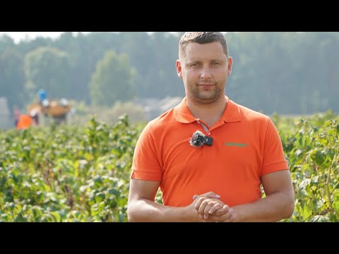 Spotkanie plantatorów malin w Kożuchówce. Tomasz Domański, Agrosimex