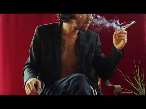 SE AVENTURA NA PITEIRA | QNOIZ (VIZUALIZER) #CERTOPELOSÉCULO