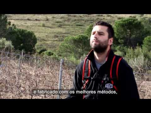 FELCO 801 ADS PRUNING PT