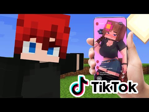¿Qué pasaría si TIKTOK existiera en MINECRAFT