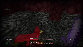 〈Minecraft〉サバサバサバイバル！統合版参加型～初見さん大歓迎～気軽に参加どうぞ♪