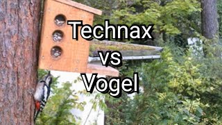 Die Tx-69 am Vogelhaus. Diesmal mit Vögel.
