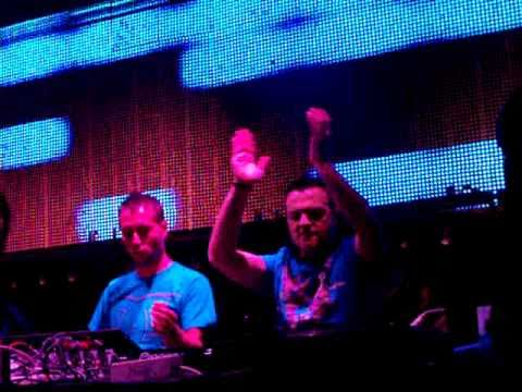 SUNFLOWERS DAHOUSE VS OSCAR L