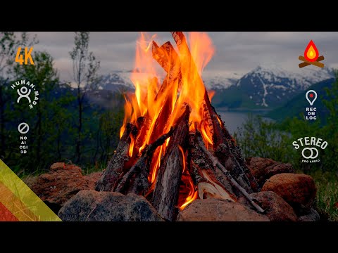Mountain view 🔥 CAMPFIRE (12 hours - mid-roll ads turned off)