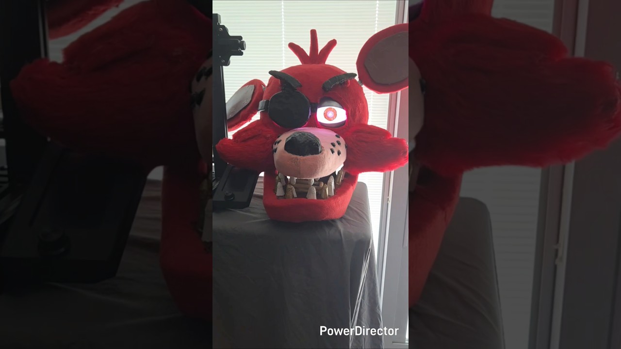 Foxy Eyebrow and and Endo Update !