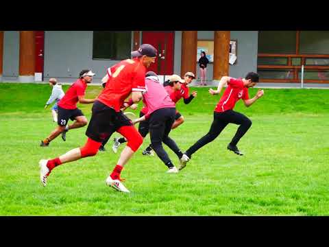 Life in all Directions - Tryouts!