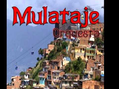 download lagu mp3 mp4 Orquesta Mulataje, download lagu Orquesta Mulataje gratis, unduh video klip Download Orquesta Mulataje Mp3 dan Mp4 Free All Gratis