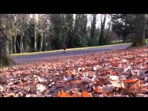 "Da le belle contra d'oriente" - Cipriano de Rore