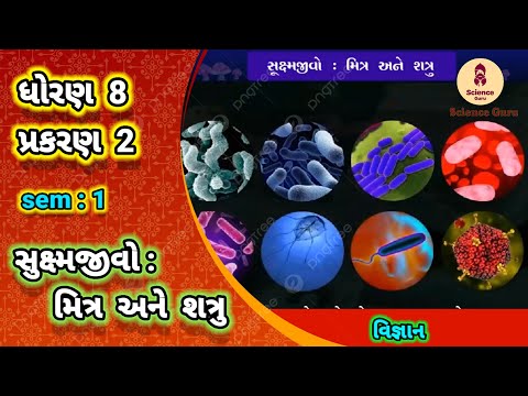 Suxm jivo mitra ane shatru || std 8 science ch 2 || સુક્ષ્મ જીવો મિત્ર અને શત્રુ || ધોરણ 8 વિજ્ઞાન||