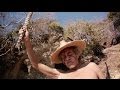 Porter Palapa Video Oficial