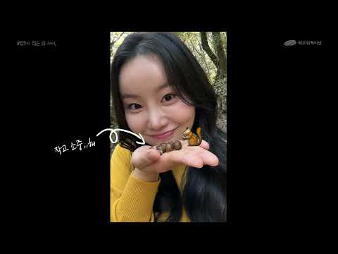 [제주 워케이션 소개] 일과 휴식의 완벽한 밸런스, 2025 제주 워케이션 홍보 영상 🏝️💼