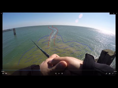 #23 Hornhechtangeln auf Zeeland  2019, Westkapelle, Zoutelande, Neeltje Jans und Ritthem