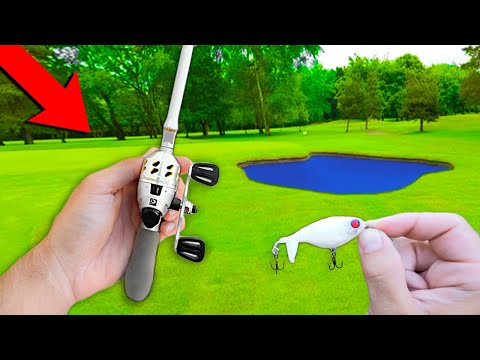 World's SMALLEST Fishing Rod