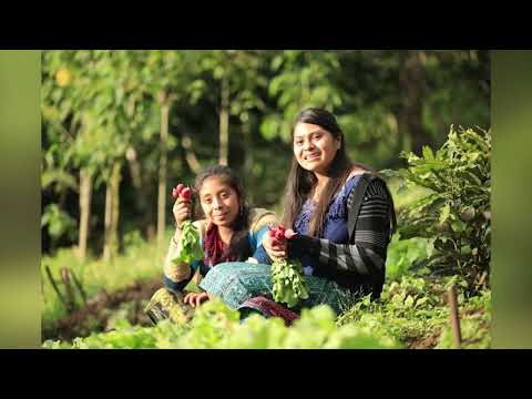 REPORTE DE CASOS DE DESNUTRICIÓN EN QUETZALTENANGO