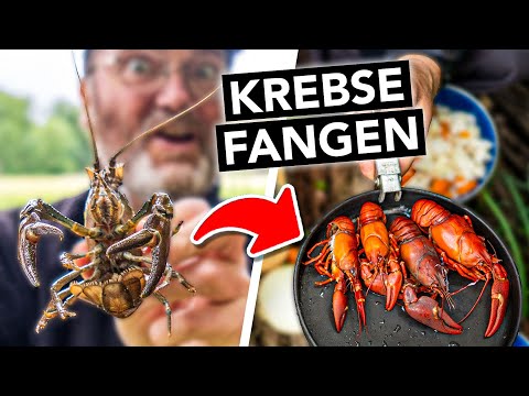 Invasive Krebse fangen, töten & köstlich zubereiten 🎣 Achtung, nur diese Art!