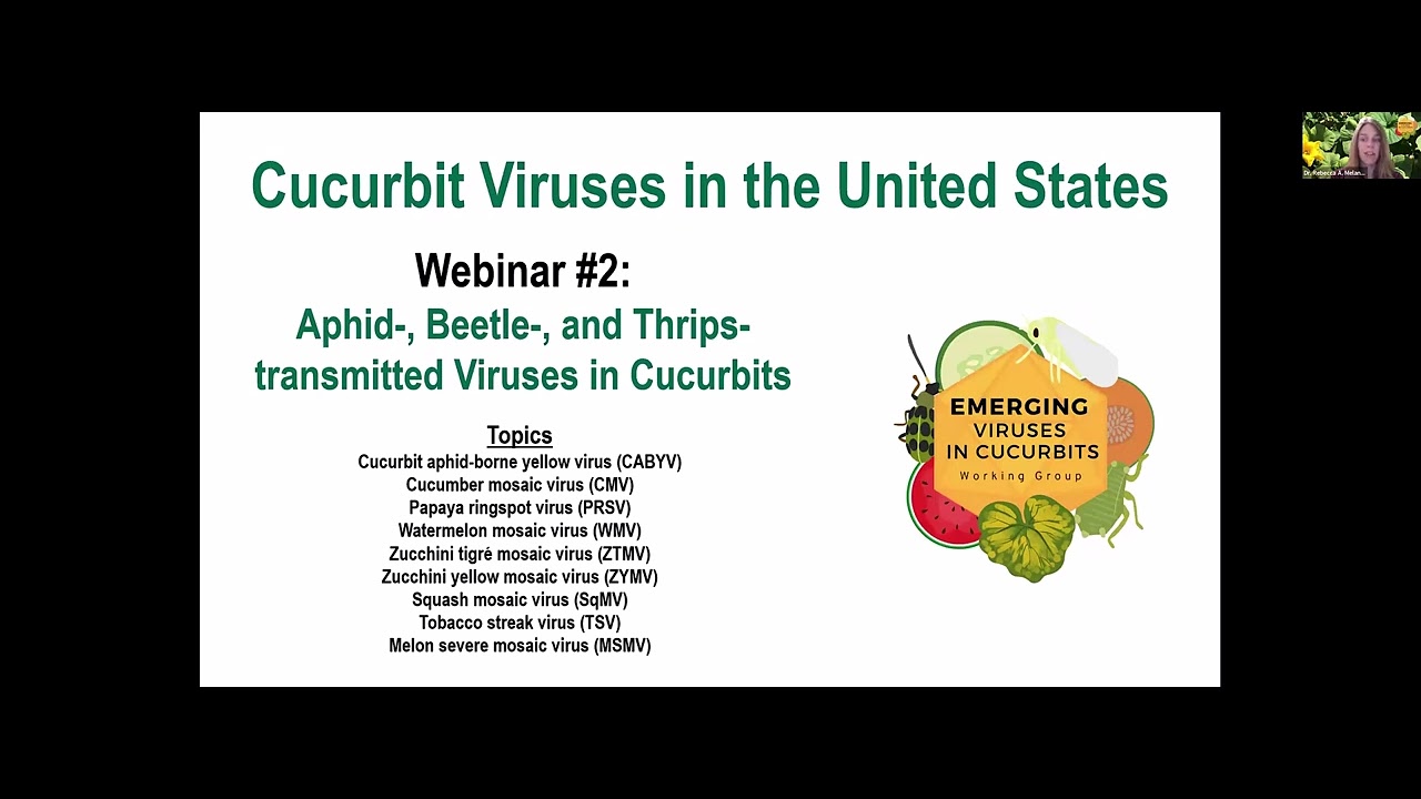 Introduction to the Aphid- , Beetle- , and Thrips-Transmitted Viruses Webinar, EVCWG (2026)