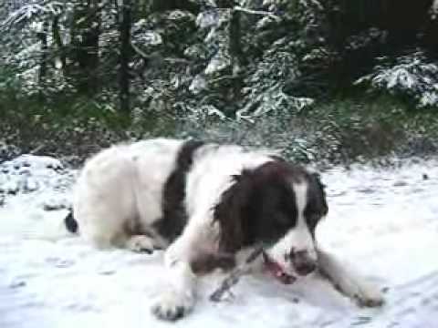 Boy in de sneeuw @ Orderbos Apeldoorn