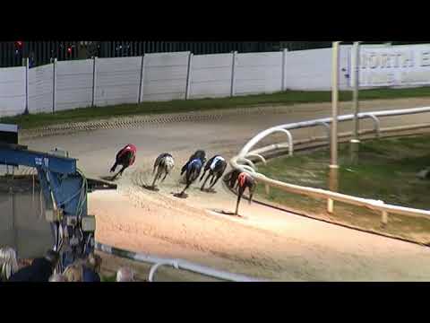 2017 WILLIAM HILL ALL ENGLAND CUP - HEAT 3 - T5 BRAMBLE JOHNTED