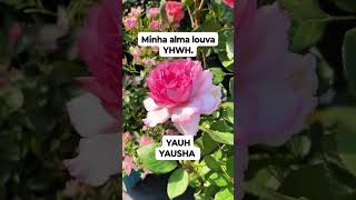 20 de janeiro de 2026