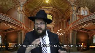 הילד שלך מחפש תשומת לב – הרב שניאור אשכנזי