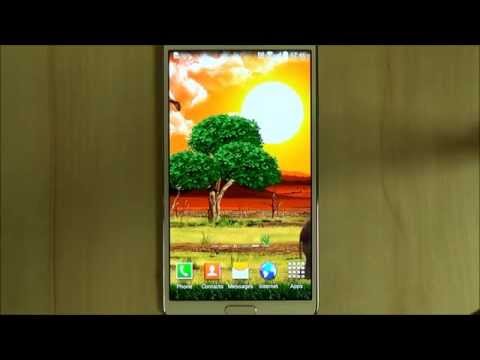 Safari Live Wallpaper Video