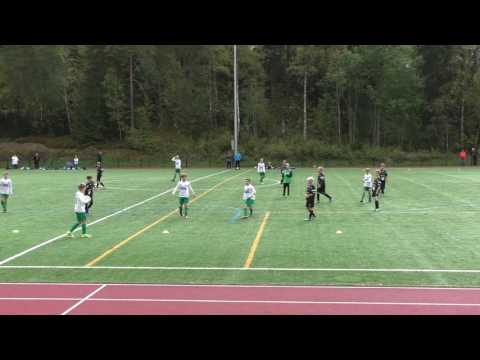 PiPS - Paiha 4.9.2016