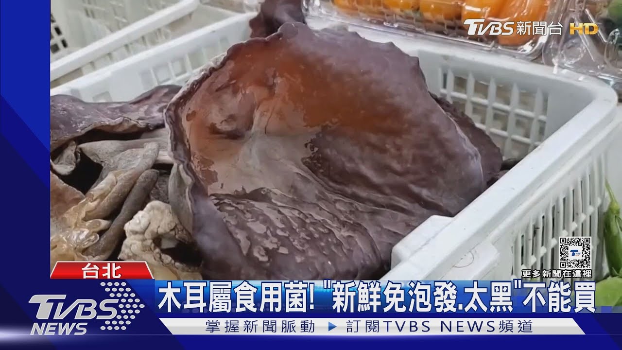 「米酵菌酸」哪來　專家點名「木耳」也應檢驗