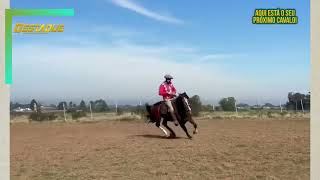 Pingo cozido da boca 