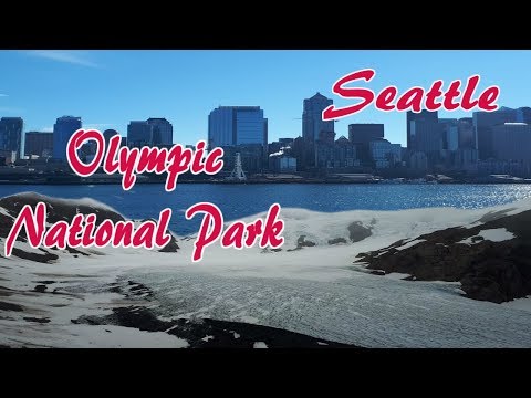 download lagu mp3 mp4 Parques En Seattle, download lagu Parques En Seattle gratis, unduh video klip Parques En Seattle