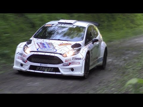 Rally Team 971 2019 | Action [HD]