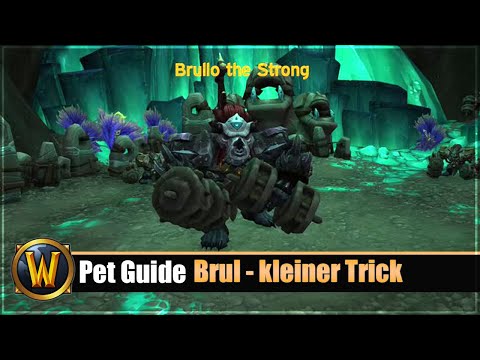 Pet Guide: [Brul] - kleiner Trick