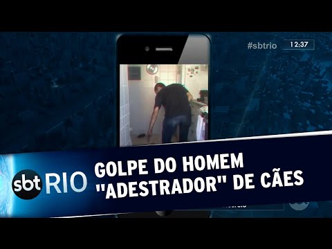 Homem se passa por adestrador para roubar cães