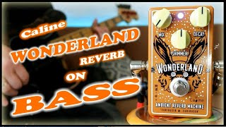 Video thumbnail for Caline Wonderland Ambient Reverb CP-508 (Bass Demo) by Jo Bass
