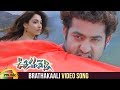 Oosaravelli Telugu Movie Video Songs Brathakaali Telugu Video Song Jr NTR Tamanna DSP