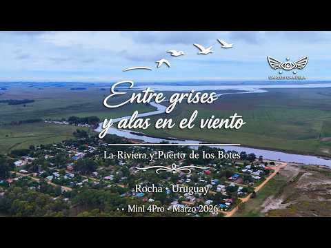Entre grises y alas en el viento La Riviera y Puerto de los Botes Rocha - Uruguay