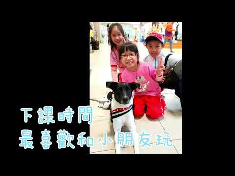 昌平逗哥波-新北市108年校園犬影片網路人氣票選活動