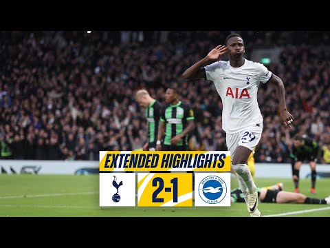 Resumen de Tottenham Hotspur vs Brighton & Hove Albion Jornada 24