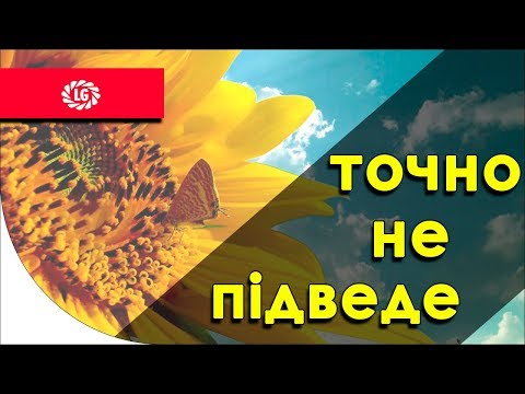Гибрид подсолнечника Тунка от Лимагрейн