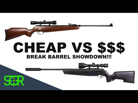 Cheap VS Expensive Break Barrel - Whats your $$$ Get You? - SIG ASP20 VS Beeman RS2