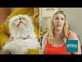 People Who Hate Cats Live With Cats For A Week // Presented By BuzzFeed & Rachael Ray Nutrish People Who Hate Cats Live With Cats For A Week // Presented By BuzzFeed & Rachael Ray Nutrish