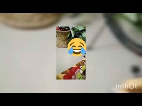 My dog playing with toy🤣😂