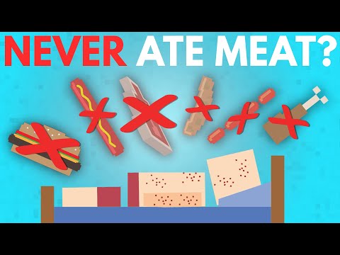 不吃肉就會營養不良？如果永遠不吃肉會怎樣？ (What If You Never Ate Meat?)