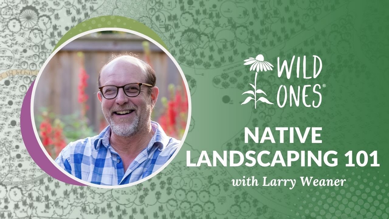 Native Landscaping 101 with Larry Weaner