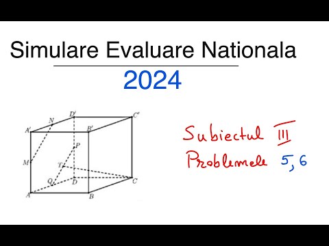 Simulare Evaluare Nationala 2024 - Subiectul III, Problemele 5,6