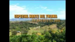 preview picture of video 'Especial RCN: Redescubriendo el Norte del Tolima: Alvarado y Venadillo en el Triangulo de Oro'