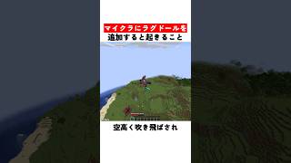 マイクラにラグドールを追加すると起きること
